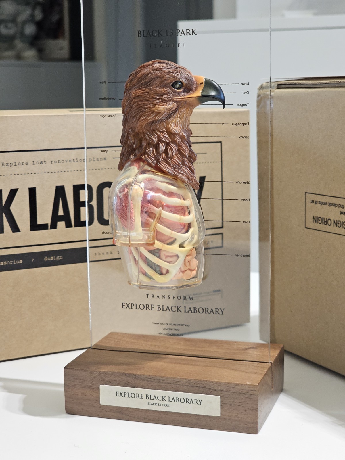 Black 13 Park Black Laborary Hidden Sense Package Falcon Special Figure Bust
