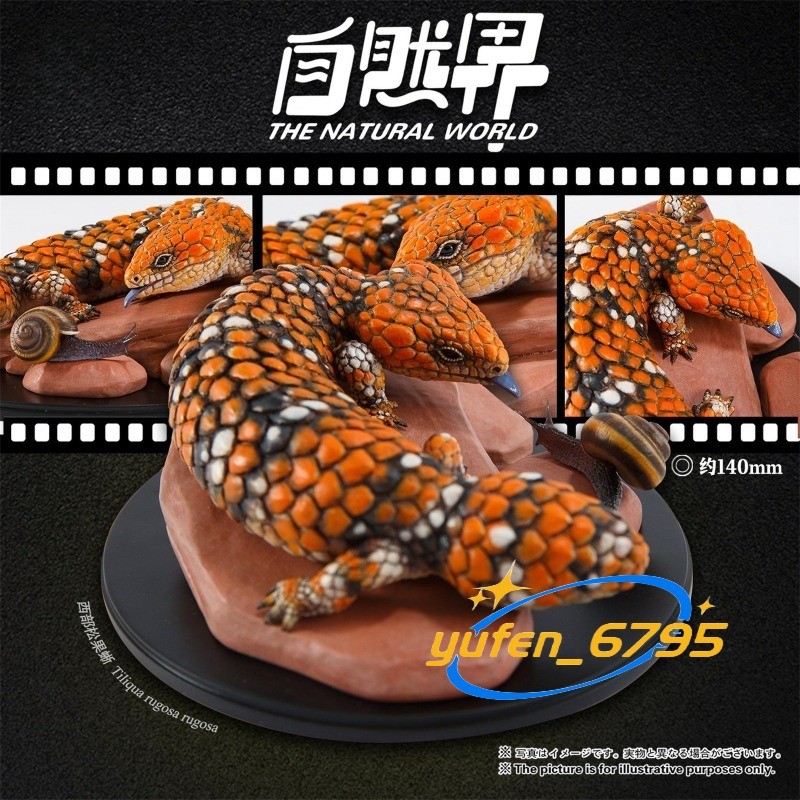 ANIMAL HEAVENLY BODY Trachydosaurus Rugosus Lacertas Figure Model Gift New Toy