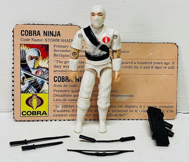 GI Joe 1984 Storm Shadow V1 Complete Minty White Canadian File Card Hasbro ARAH