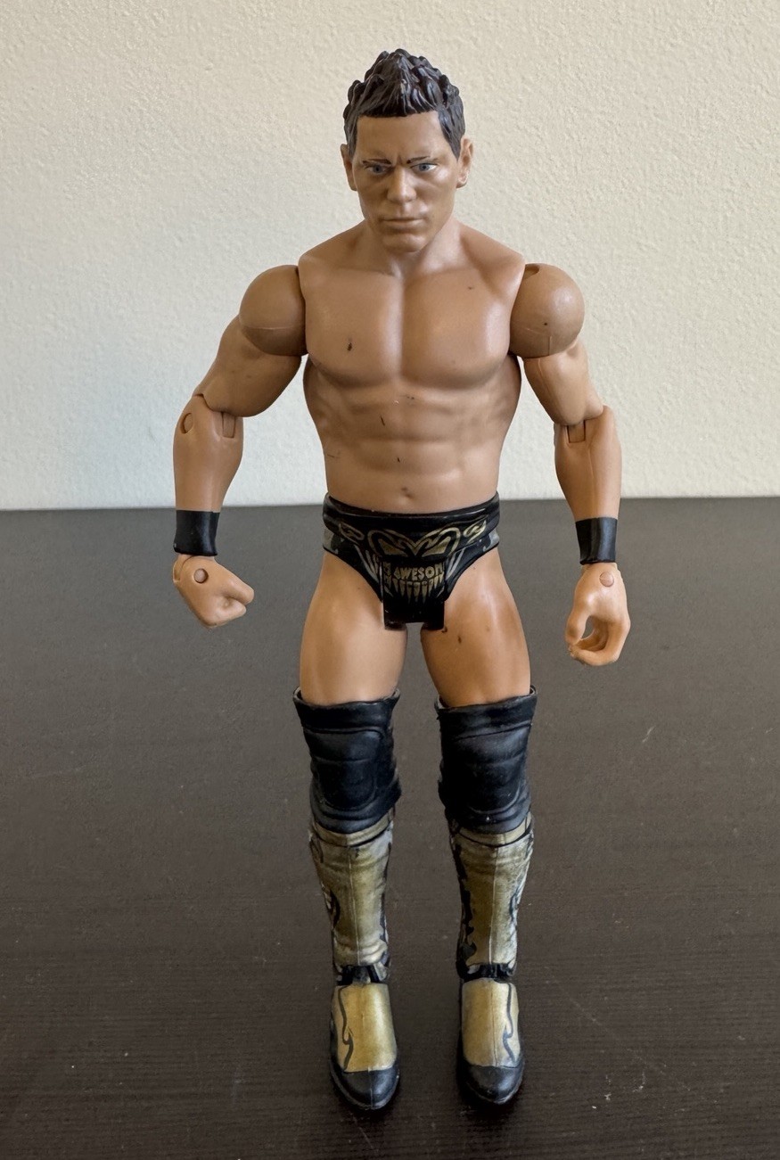 WWE The MIZ Mattel Basic Series Wrestling Action Figure 7” WWF 2011