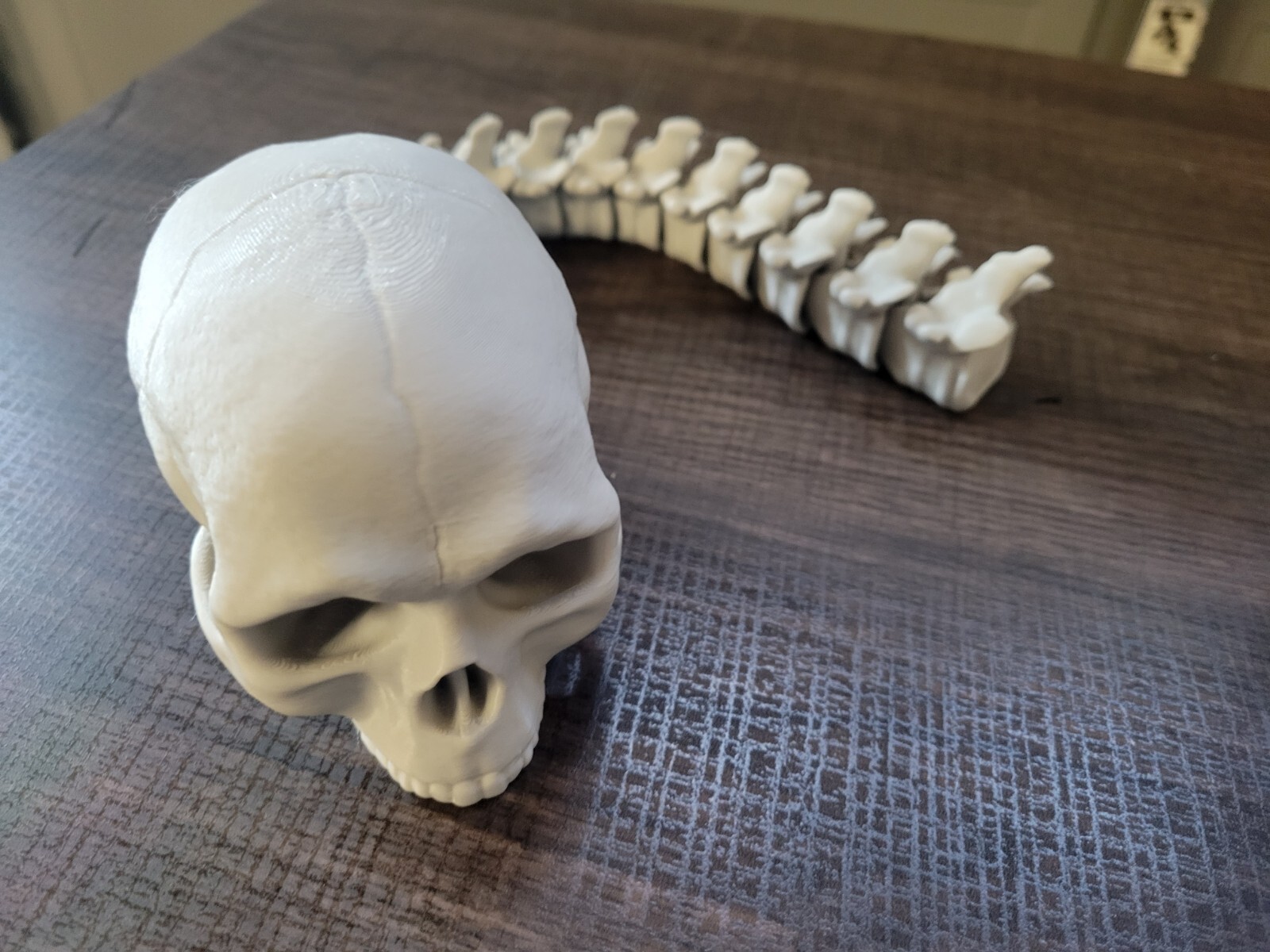 Articulated Predator Trophy Skull PLA
