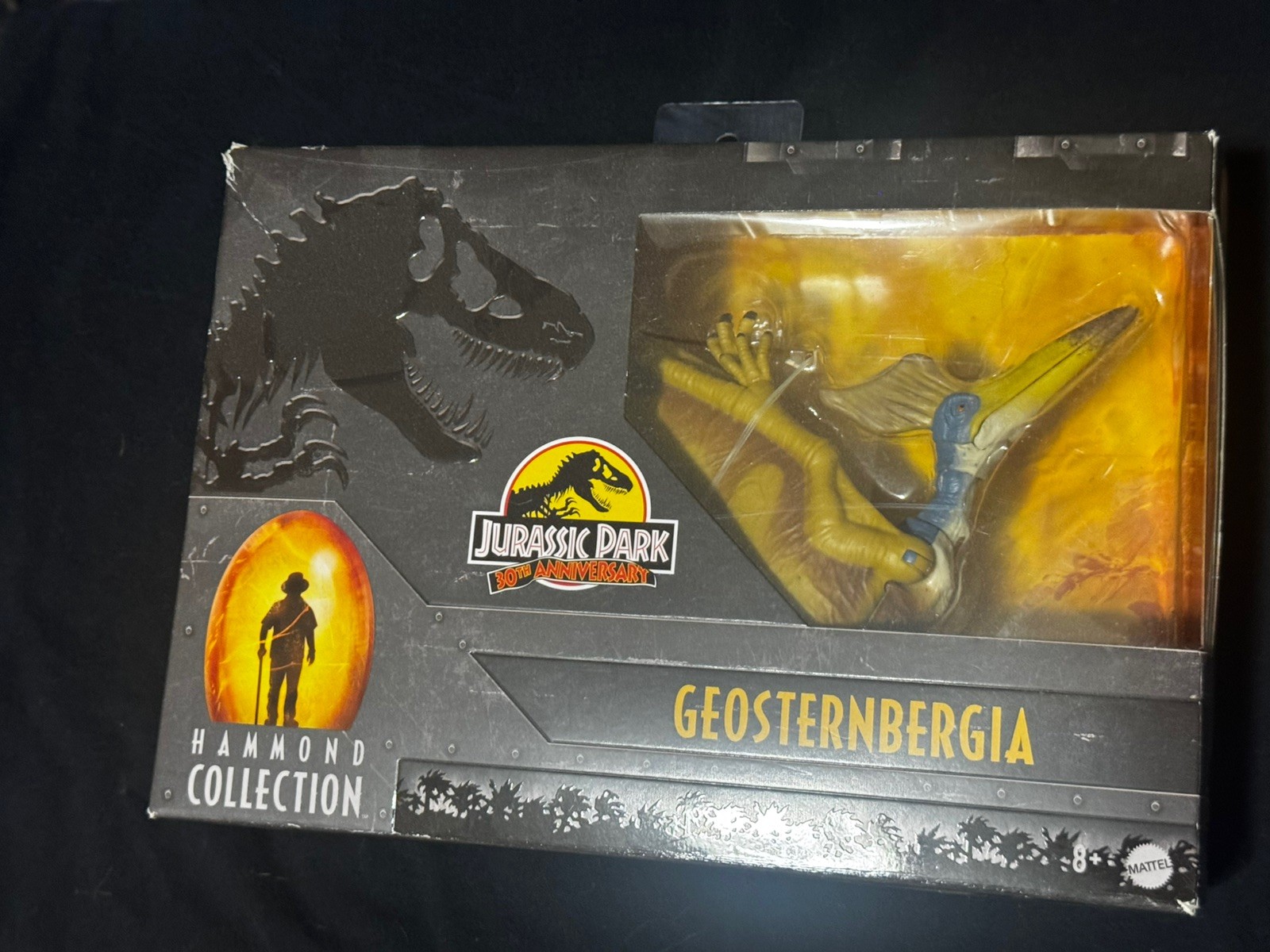 Hammond collection Geosternbergia