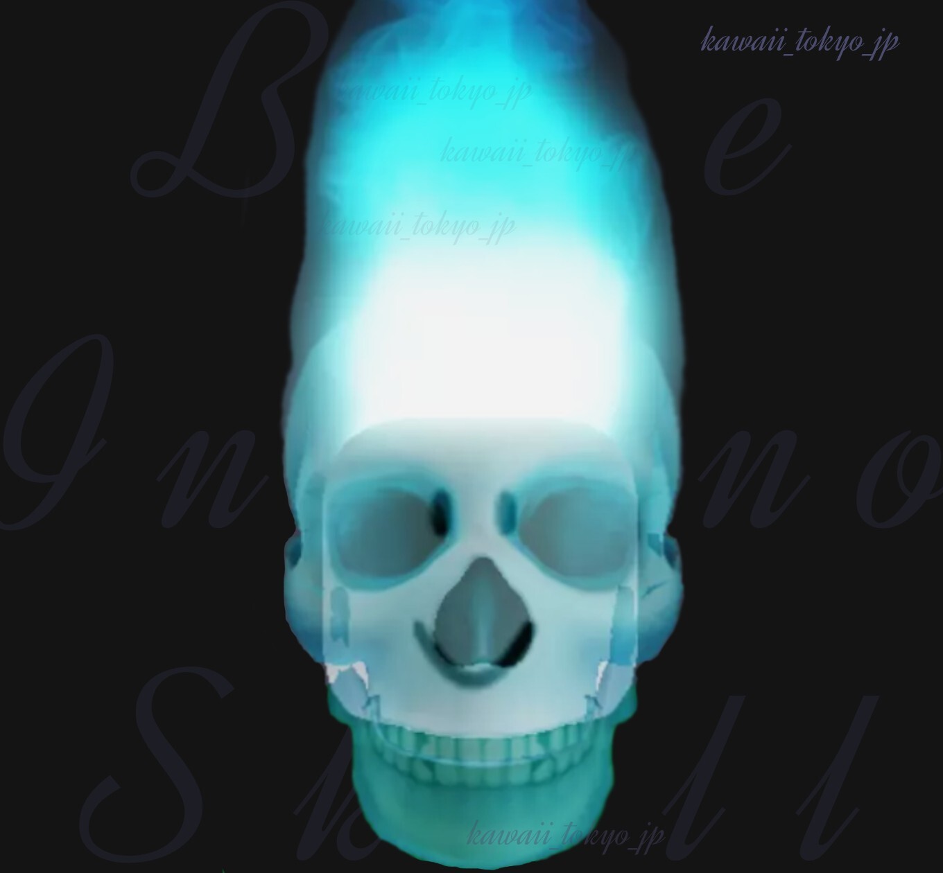 ROBLOX Blue Inferno Skull 7-Eleven Japan | Includes 500 Robux | CODE SENT ASAP