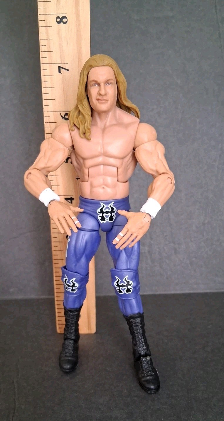 WWE Triple H Wrestling Action Figure Mattel Elite Series Loose