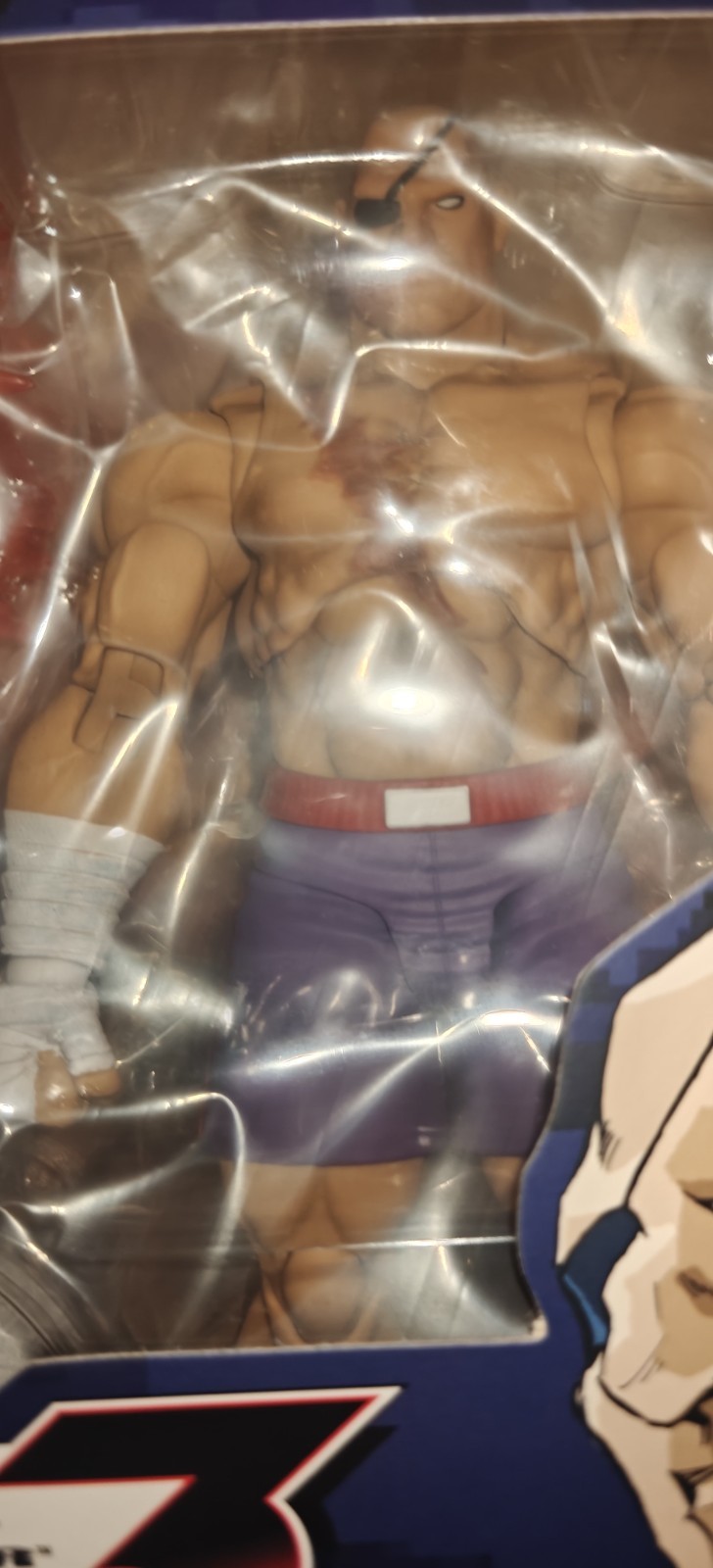 Storm Arena – Street Fighter Alpha 3 – Sagat – Special Edition – BBTS Exclusive