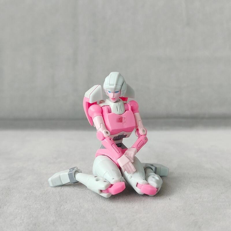 NEW Model Injection Replacement Backpack Upgrade Kit For NewAge H48 Arcee