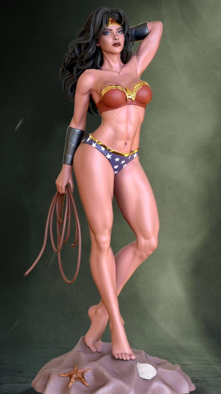 Wonder Woman Figure 25cm Professional Painted