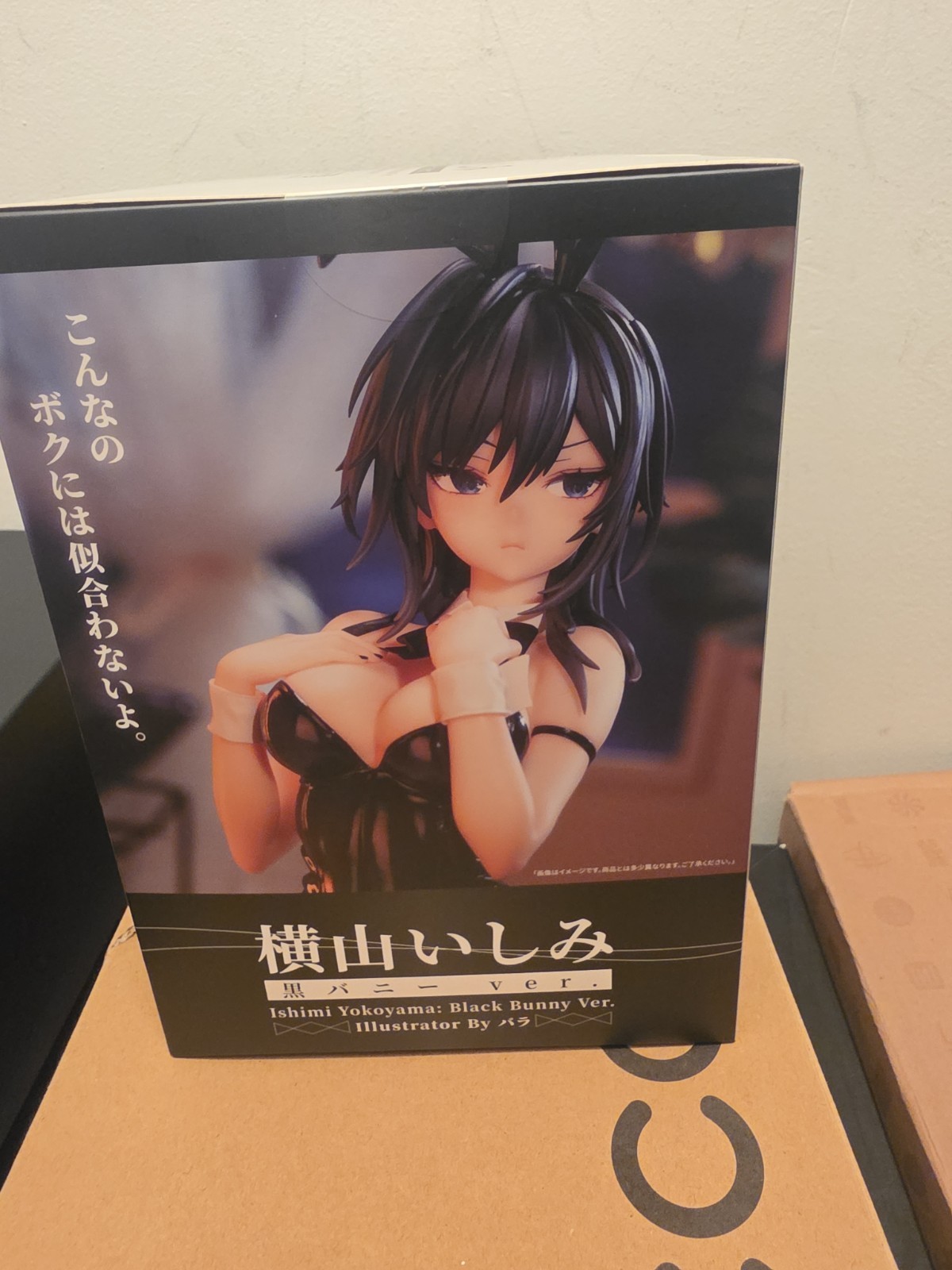 ishimi yokoyama Black Bunny Vet