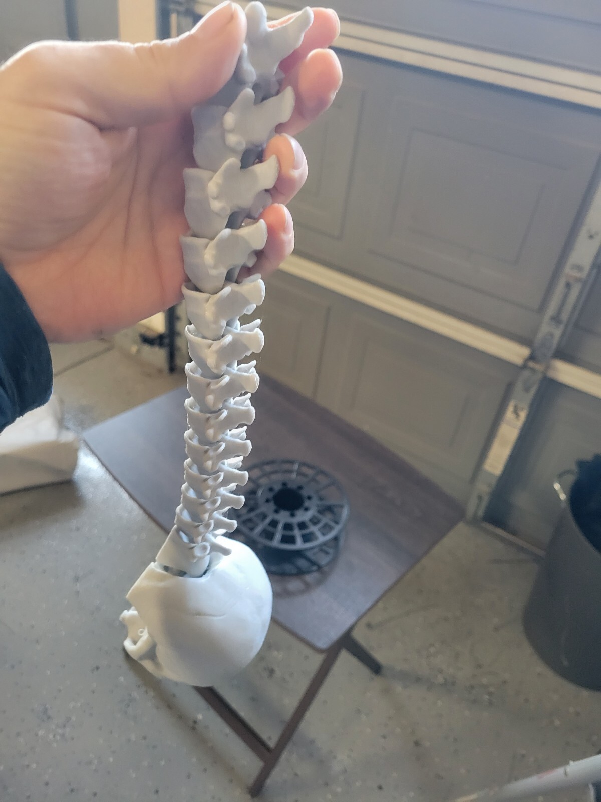 Articulated Predator Trophy Skull PLA