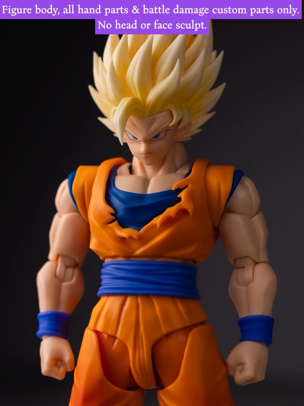 SH Figuarts Dragon Ball Z Super Saiyan God Goku & AIR003 SSG HeadSculpt *RARE*