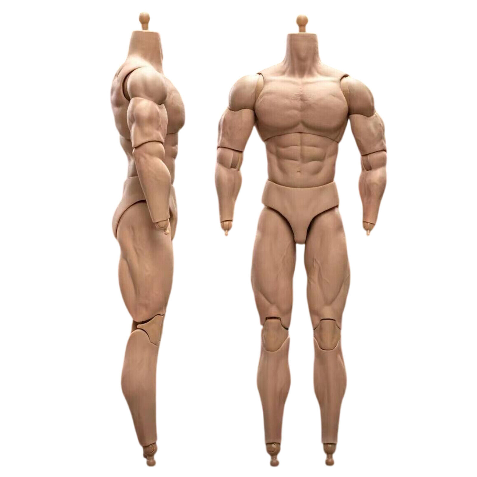 1/6 Scale BD003 Muscular Male Action Figure Body For 12″ Hot Toy Soldier Head Cj