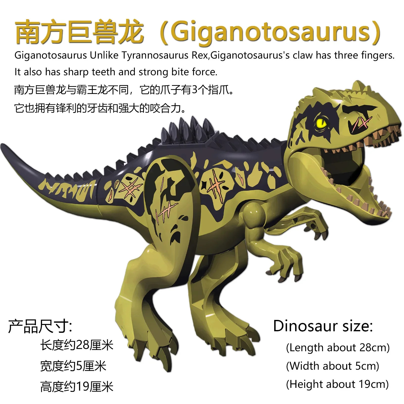 Giganotosaurus Large Dinosaur Southern Giant Beast Dragon Wind God Pterosaur Edu