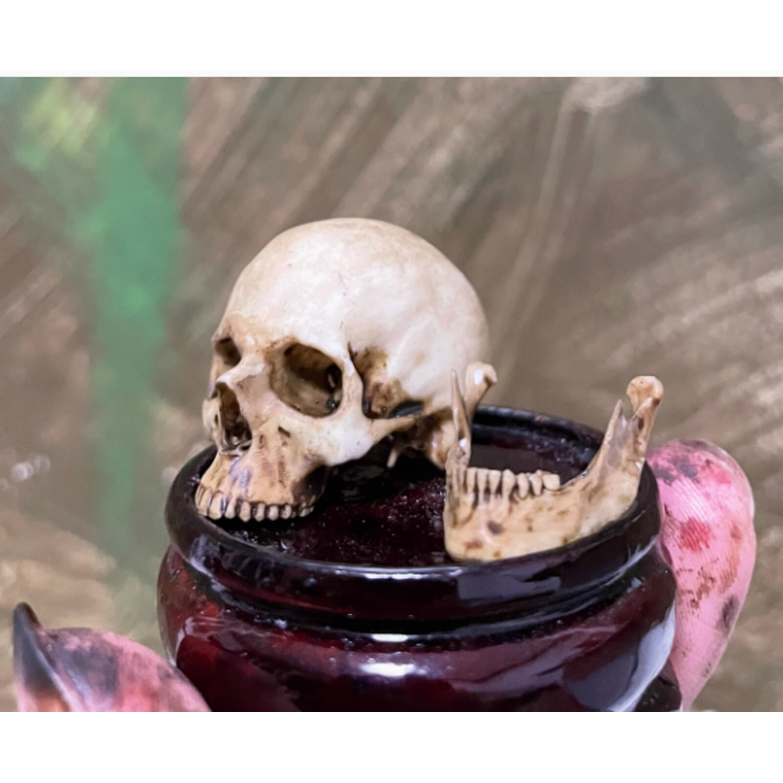 1/6 Scale Human Skull Skeleton Pvc Model For 12″ Action Figure Parts Prop New