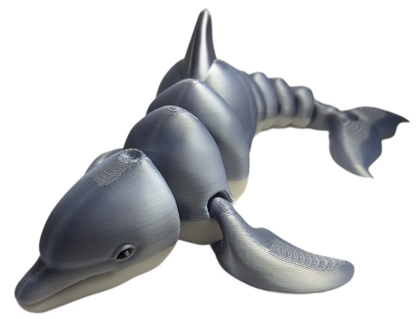 Gray Dolphin Flexible 3d Printed 11″ Articulated Ocean Mammal Fidget Toy