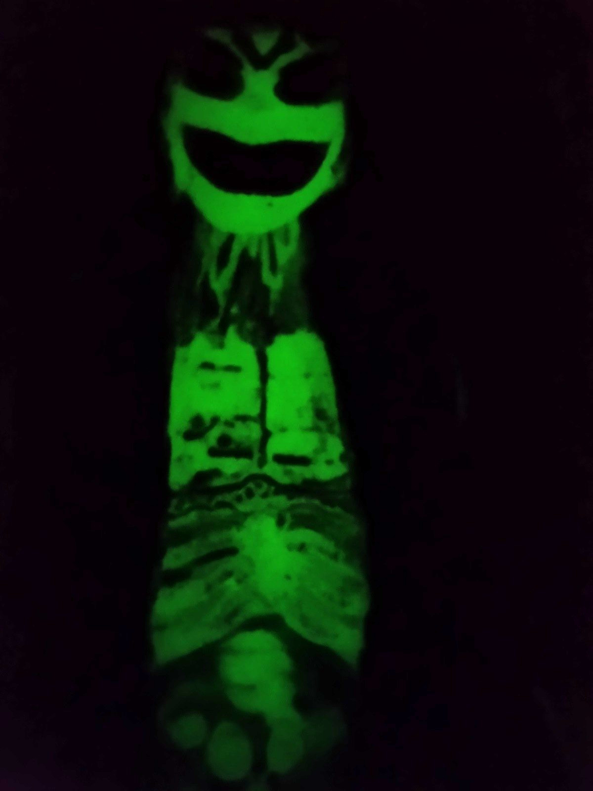 ? Evil Ernie Chaos! Comics Action Figure 1997 Glow In The Dark ? Lady Death ?