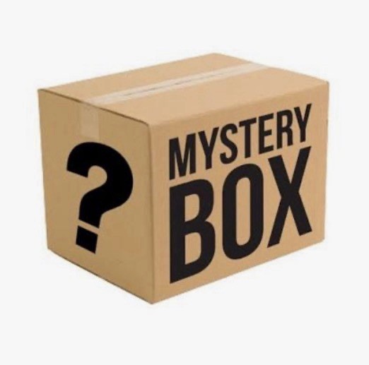 Elite WWE Action Figure Mystery Box Random Figure