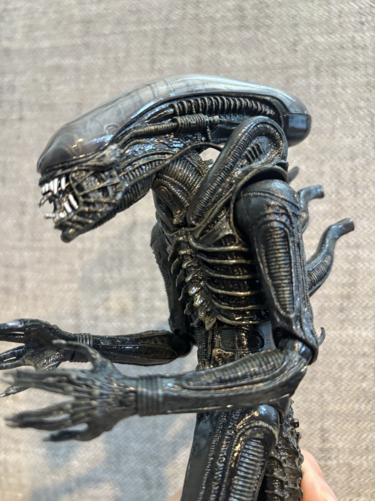 Aliens NECA Action Figure Xenomorph Warrior Alien 9″ 2018 Black Gray