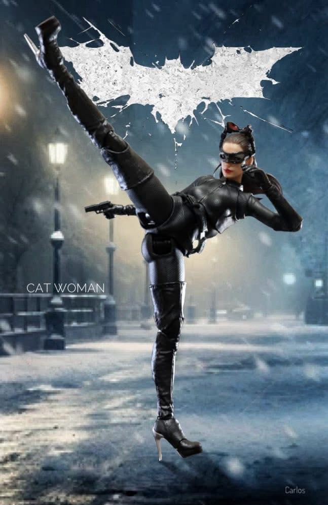 InArt DC Comics Dark Knight Rises Catwoman 1/12 M0002 US Seller Anne Hathaway