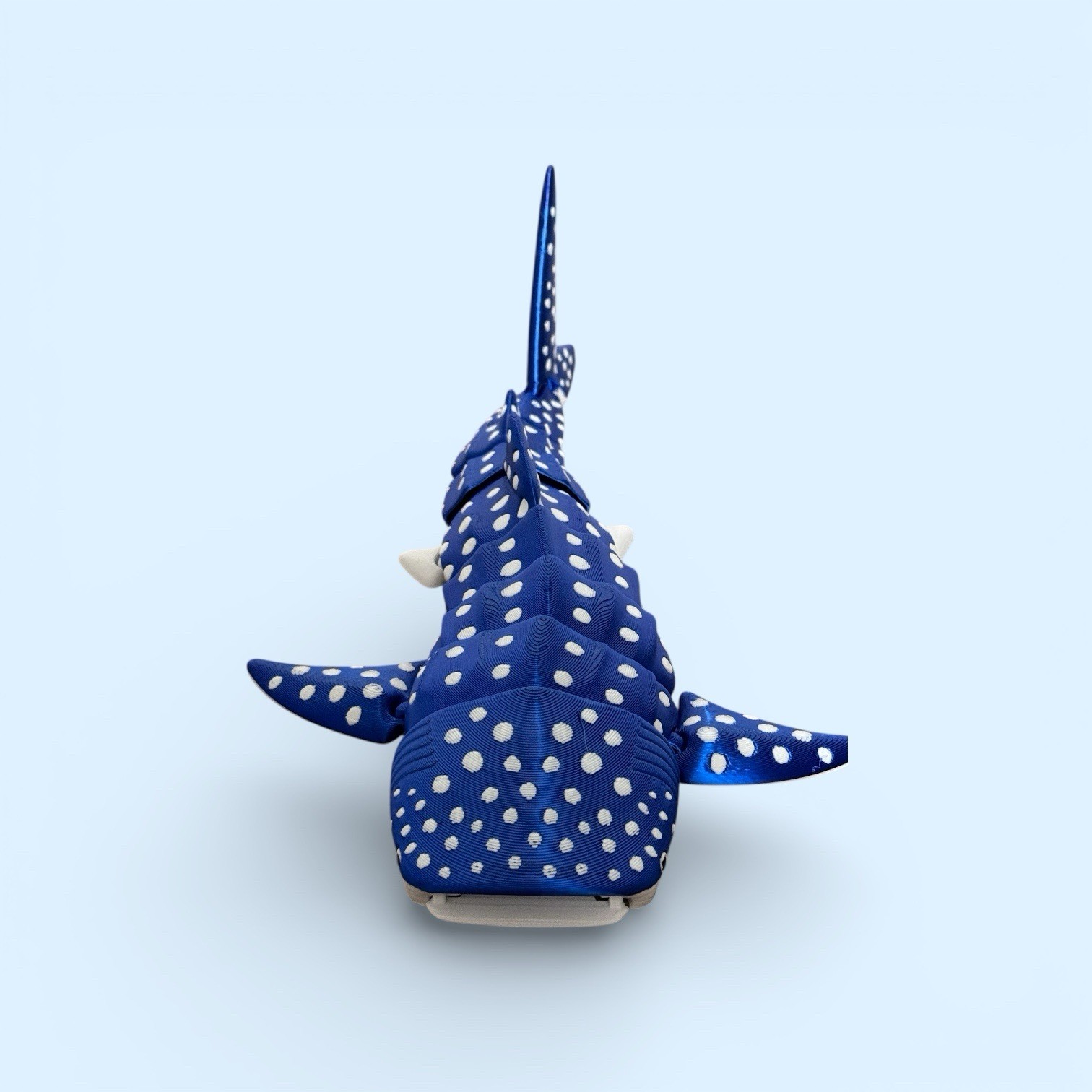 3D Printed Articulated Flexi Whale Shark Fidget Flexible Limbs for Sensory Toy