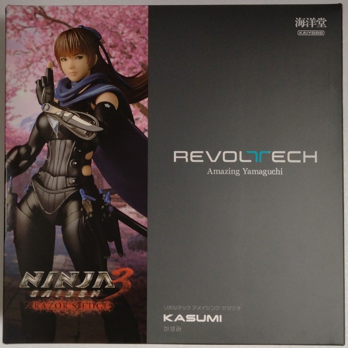 Revoltech Amazing Yamaguchi NINJA GAIDEN 3 Razor’s Edge Kasumi Figure
