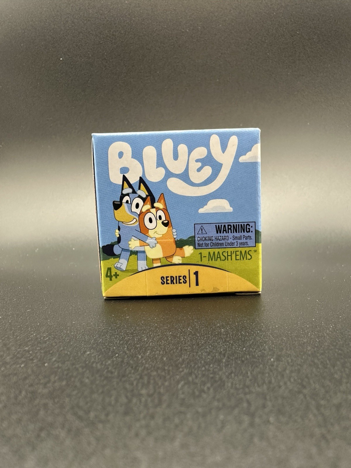 Bluey Mashems Mystery Toy Series One Blind Box