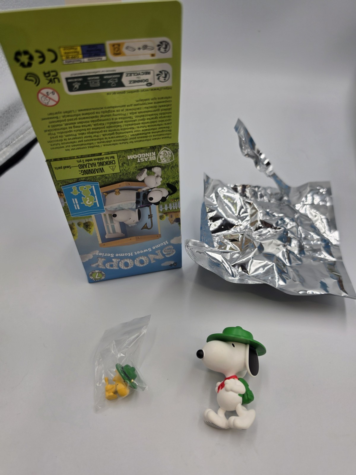 Peanuts Snoopy Home Sweet Home Beagle Scout Snoopy and Woodstock Secret Chase