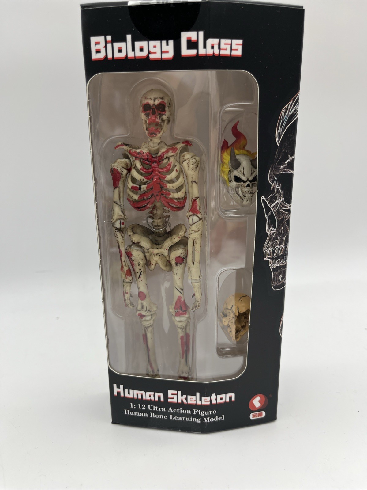 KEEPGOING Biology Classroom Human Skeleton Articulated 1/12 Bone W/blood Rare