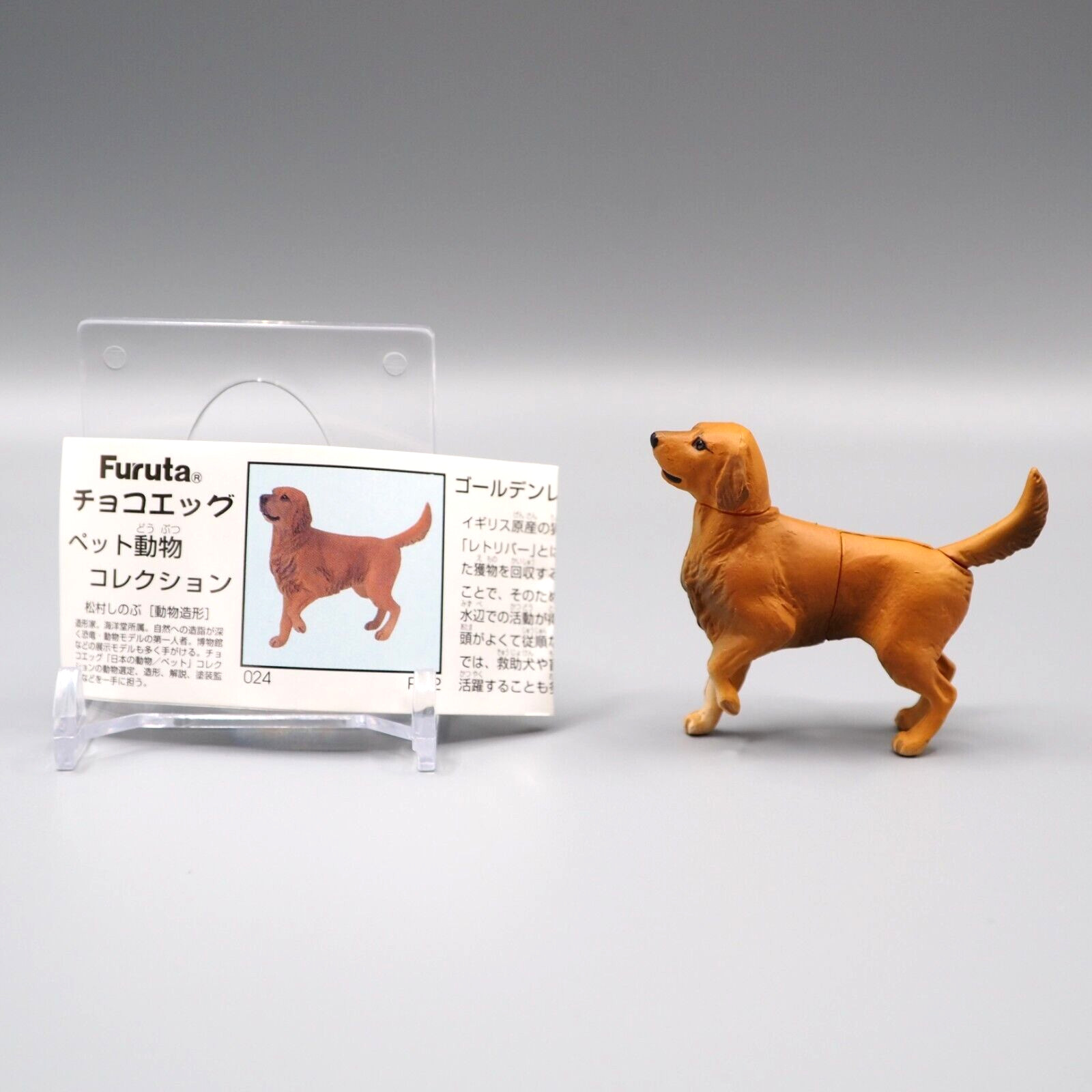 Golden Retriever Dog Animal Toy Mini Figure Choco Egg Furuta Kaiyodo Japan yy123